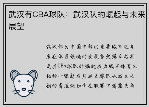 武汉有CBA球队：武汉队的崛起与未来展望